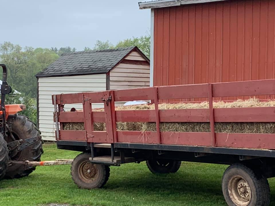 readington river buffalo farm hay rides