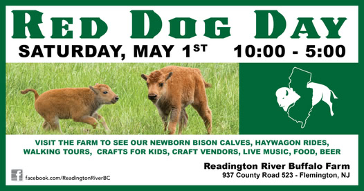 Saturday May 1 is Red Dog Day at Readington River Buffalo Farm in Flemington, NJ