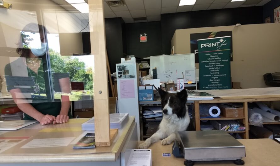 Where to Make Copies in Phillipsburg NJ (and Get Waited on By a Dog)