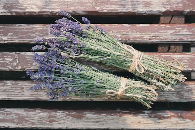 Learn About Lavender and Do a Craft at Well Sweep Herb Farm Sat June 26 at 1:30