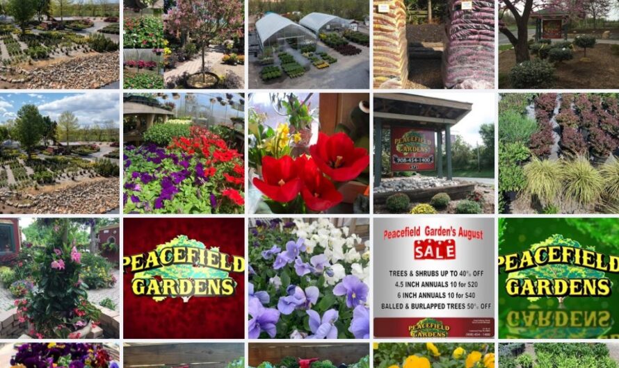 Where to Get Topsoil, Plants & Garden Supplies in Warren County NJ | Peacefield Gardens on Route 57