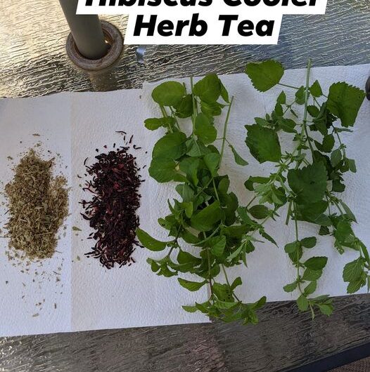 Herbal Refrigerants | Cooling Herbal Tea Recipe with Peppermint, Lemon Balm