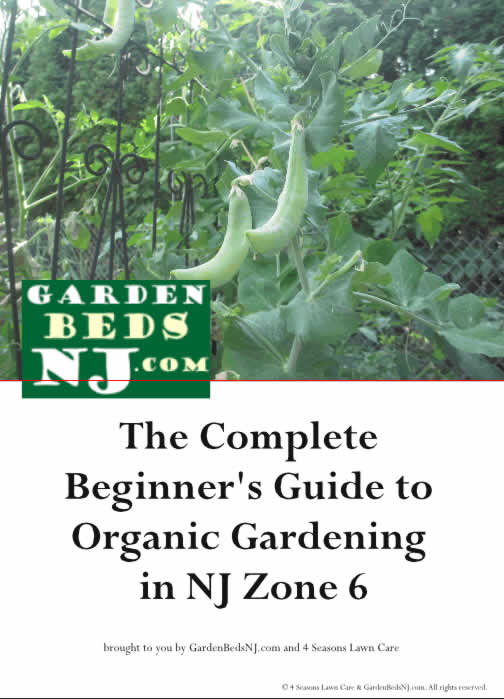 gardening guide for nj zone 6