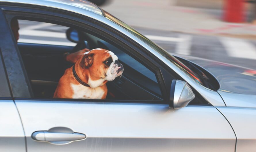 Windshield Replacement in Warren County, NJ