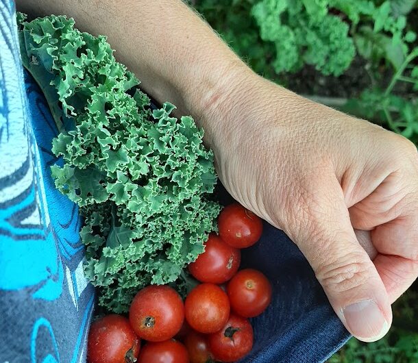 Kale Salad Kit Recipe Without the Kit