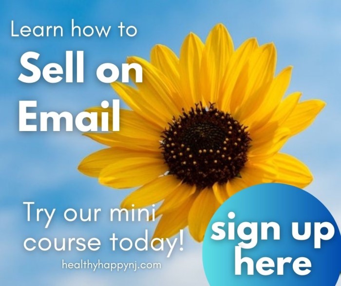 Selling on Email Course