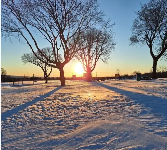 Snow in NJ, January 2025